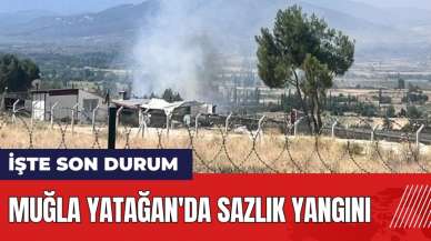 Muğla Yatağan'da sazlık yangını