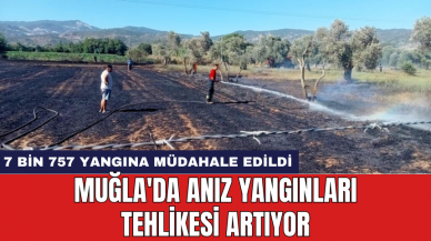 Muğla'da anız yangınları tehlikesi artıyor