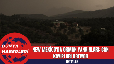 New Mexico'da Orman Yangınları: Can Kayıpları Artıyor