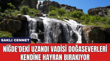 Niğde'deki Uzandı Vadisi doğaseverleri kendine hayran bırakıyor