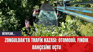 Zonguldak'ta Trafik Kazası: Otomobil Fındık Bahçesine Uçtu