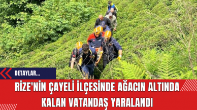 Rize'nin Çayeli ilçesinde ağacın altında kalan vatandaş yaralandı