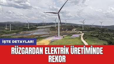 Rüzgardan elektrik üretiminde rekor