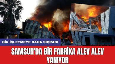 Samsun'da bir fabrika alev alev yanıyor