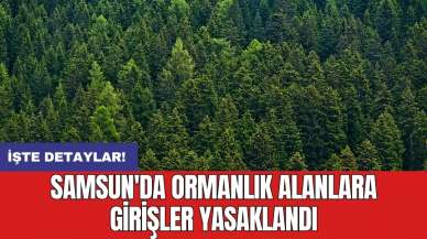 Samsun'da ormanlık alanlara girişler yasaklandı