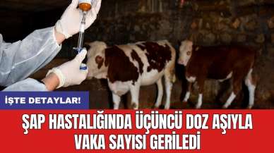 Şap hastalığında üçüncü doz aşıyla vaka sayısı geriledi