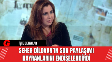 Seher Dilovan’ın Son Paylaşımı Hayranlarını Endişelendirdi