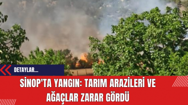 Sinop'ta Yangın: Tarım Arazileri ve Ağaçlar Zarar Gördü