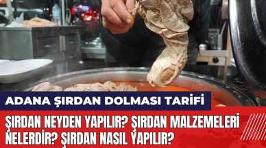 Şırdan neyden yapılır? Şırdan malzemeleri nelerdir? Şırdan nasıl yapılır? Adana şırdan dolması tarifi