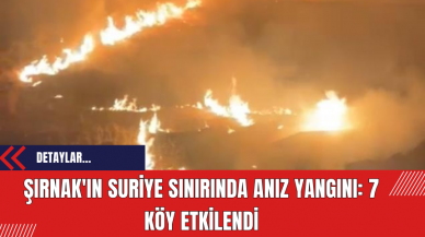 Şırnak'ın Suriye sınırında anız yangını: 7 köy etkilendi