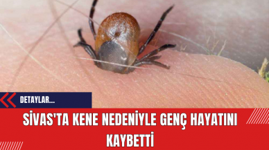 Sivas'ta kene nedeniyle genç hayatını kaybetti