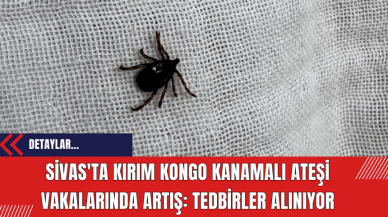 Sivas'ta Kırım Kongo Kanamalı Ateşi Vakalarında Artış: Tedbirler Alınıyor