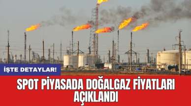 Spot piyasada doğalgaz fiyatları açıklandı