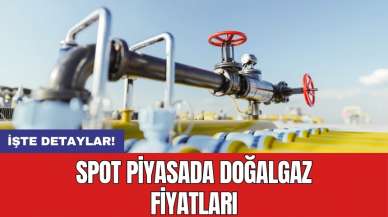 Spot piyasada doğalgaz fiyatları