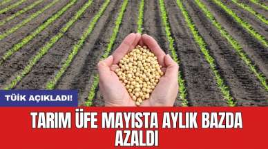 Tarım ÜFE mayısta aylık bazda azaldı