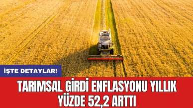 Tarımsal girdi enflasyonu yıllık yüzde 52,2 arttı