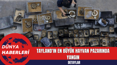 Tayland'ın En Büyük Hayvan Pazarında Yangın