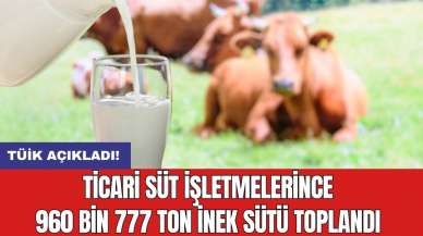 Ticari süt işletmelerince 960 bin 777 ton inek sütü toplandı