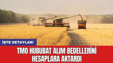 TMO hububat alım bedellerini hesaplara aktardı