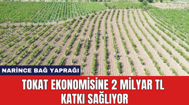 Tokat ekonomisine 2 milyar tl katkı sağlıyor