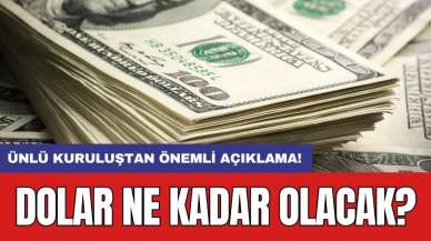 Ünlü kuruluştan önemli açıklama! Dolar ne kadar olacak?