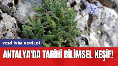 Antalya'da tarihi bilimsel keşif!