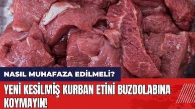 Yeni kesilmiş kurban etini buzdolabına koymayın! Kurban eti nasıl muhafaza edilmeli?