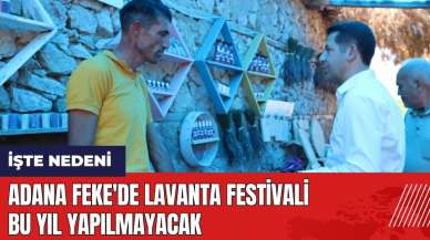 Adana Feke'de Lavanta Festivali bu yıl yapılmayacak