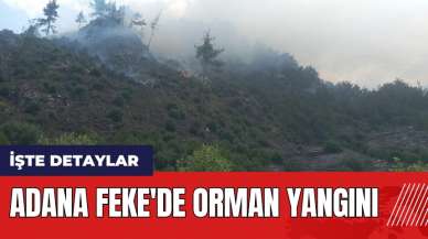 Adana Feke'de orman yangını