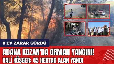 Adana Kozan'da orman yangını: 45 hektar alan yandı