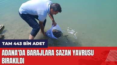 Adana'da barajlara 443 bin sazan yavrusu bırakıldı