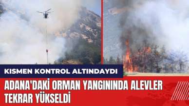 Adana'daki orman yangınında alevler tekrar yükseldi