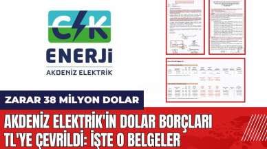 Akdeniz Elektrik'in dolar borçları TL'ye çevrildi: Zarar 38 milyon dolar