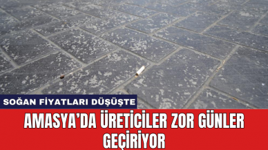 Amasya'da üreticiler zor günler geçiriyor: Soğan fiyatları düşüşte