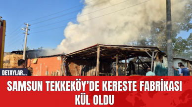 Samsun Tekkeköy’de Kereste Fabrikası Kül Oldu