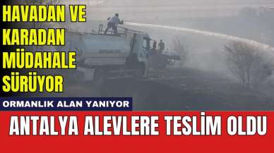 Antalya alevlere teslim oldu: Ormanlık alan yanıyor