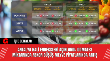 Antalya Hali Endeksleri Açıklandı: Domates Miktarında Rekor Düşüş, Meyve Fiyatlarında Artış