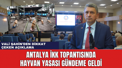 Antalya İKK Toplantısında Hayvan Yasası Gündeme Geldi! Vali Şahin'den Dikkat Çeken Değerlendirme