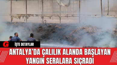 Antalya’da Çalılık Alanda Başlayan Yangın Seralara Sıçradı