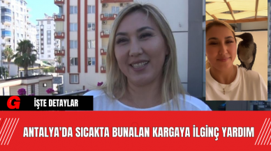 Antalya'da Sıcakta Bunalan Kargaya İlginç Yardım