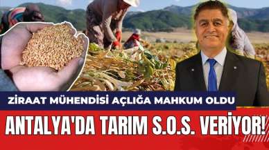 Antalya'da Tarım S.O.S. Veriyor! Ziraat Mühendisi Açlığa Mahkum