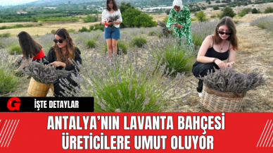 Antalya’nın Lavanta Bahçesi Üreticilere Umut Oluyor