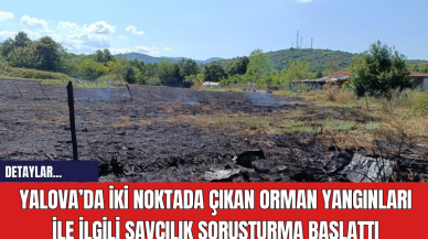 Yalova’da iki noktada çıkan orman yangınları ile ilgili savcılık soruşturma başlattı