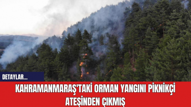 Kahramanmaraş'taki orman yangını piknikçi ateşinden çıkmış