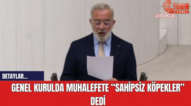 Genel kurulda muhalefete “Sahipsiz köpekler” dedi