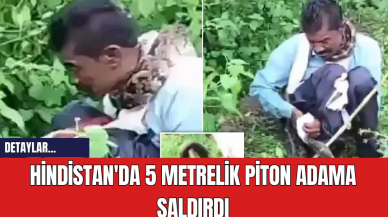 Hindistan'da 5 Metrelik Piton Adama Saldırdı