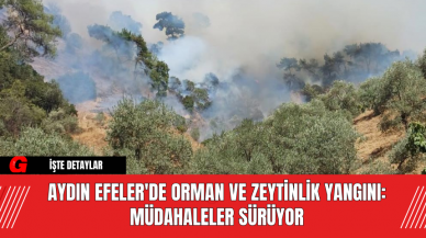 Aydın Efeler'de Orman ve Zeytinlik Yangını: Müdahaleler Sürüyor