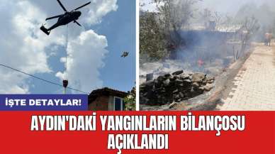 Aydın'daki yangınların bilançosu açıklandı