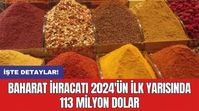 Baharat ihracatı 2024'ün ilk yarısında 113 milyon dolar