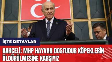 Bahçeli: MHP hayvan dostudur köpeklerin öldürülmesine karşıyız